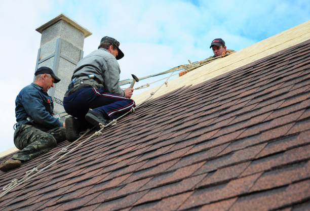 Quick and Trustworthy Emergency Roof Repair Services in Bryn Mawr, PA
